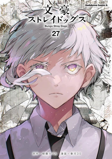 Bungo Stray Dogs Vol 27 (48)