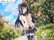 [Preorder][ETA Q3 2027] TENITOL TALL Homura Akemi