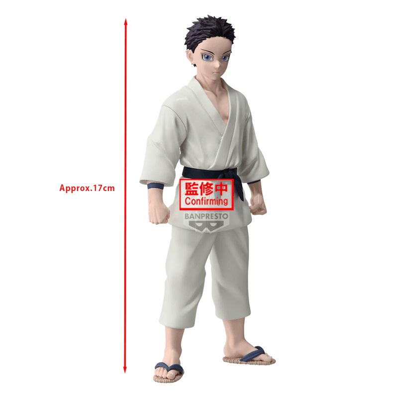 Demon Slayer: Kimetsu No Yaiba Figure Vol. 51