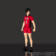 Collekazaro - CK-H04 Tetsuro Kuroo - Haikyu!!