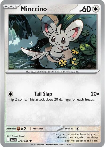 [075/086] Minccino (SV: Black Bolt)