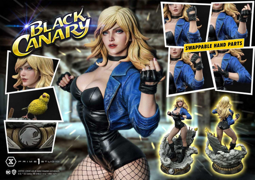 Museum Masterline - DC Comics Black Canary