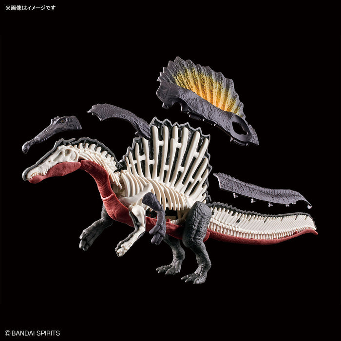 Dinosaur Plastic Model Kit Plannosaurus Spinosaurus