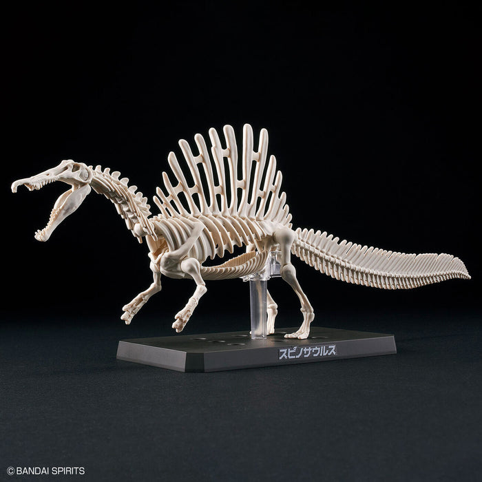 Dinosaur Plastic Model Kit Plannosaurus Spinosaurus