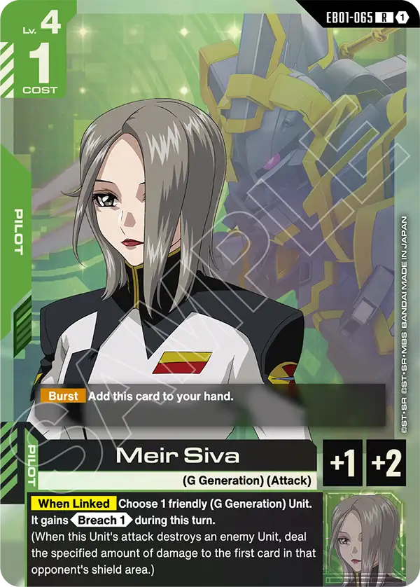 [EB01-065] R Meir Siva