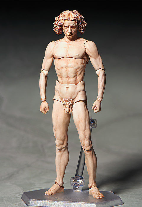 Figma - SP-075 Vitruvian Man - The Table Museum