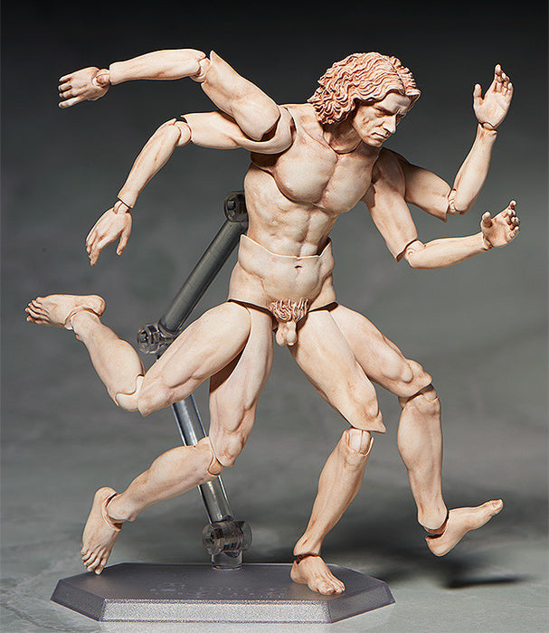 Figma - SP-075 Vitruvian Man - The Table Museum