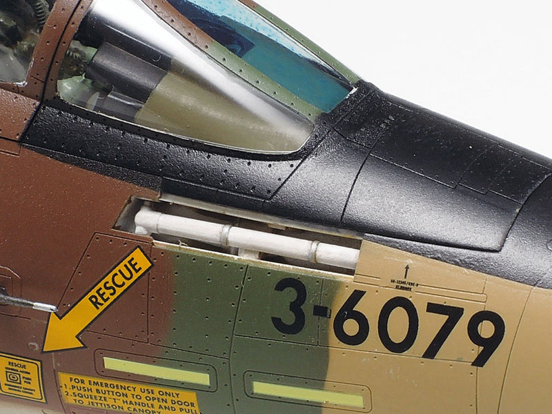 Grumman F-14A Tomcat 1/48
