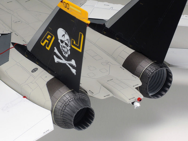 Grumman F-14A Tomcat 1/48