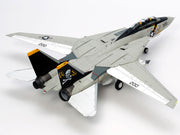 Grumman F-14A Tomcat 1/48