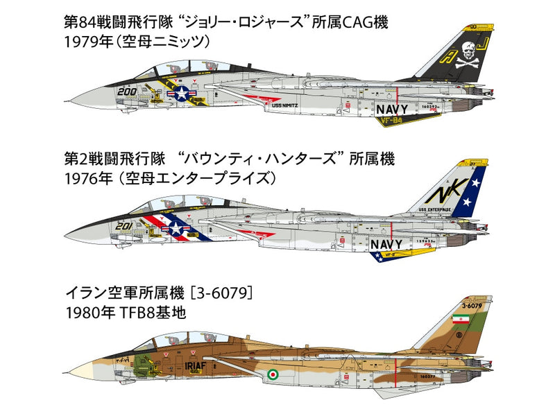 Grumman F-14A Tomcat 1/48