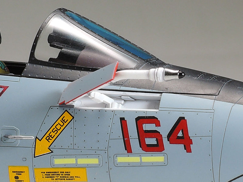 Grumman F-14D Tomcat 1/48