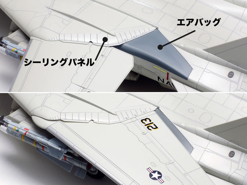 Grumman F-14D Tomcat 1/48