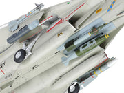 Grumman F-14D Tomcat 1/48