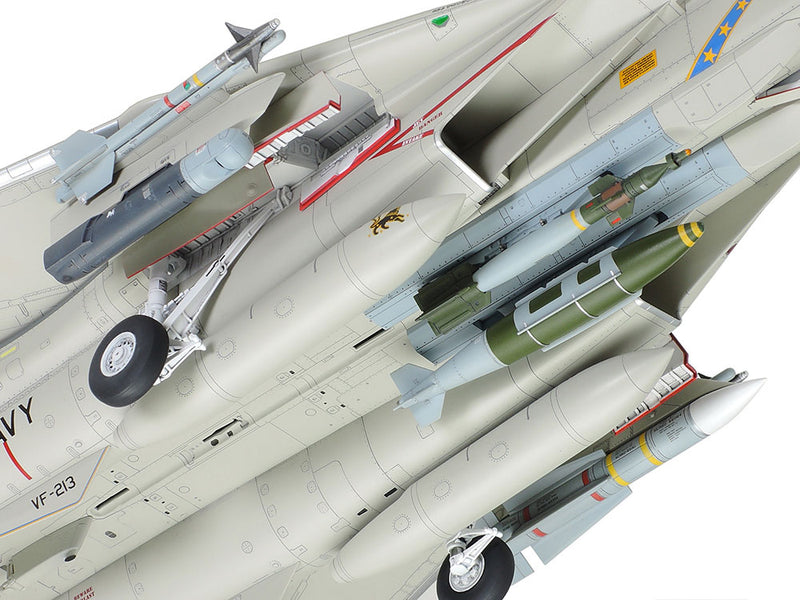 Grumman F-14D Tomcat 1/48