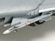 Grumman F-14D Tomcat 1/48