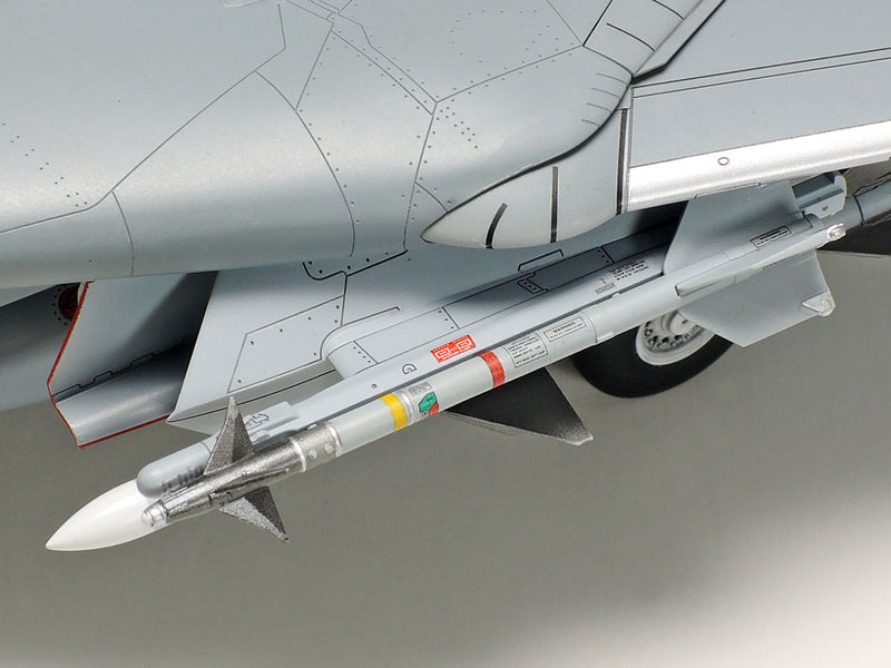 Grumman F-14D Tomcat 1/48