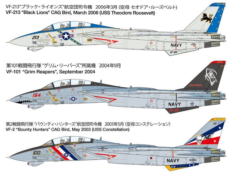 Grumman F-14D Tomcat 1/48