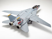 Grumman F-14D Tomcat 1/48