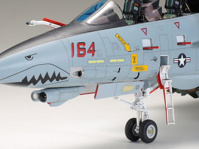 Grumman F-14D Tomcat 1/48
