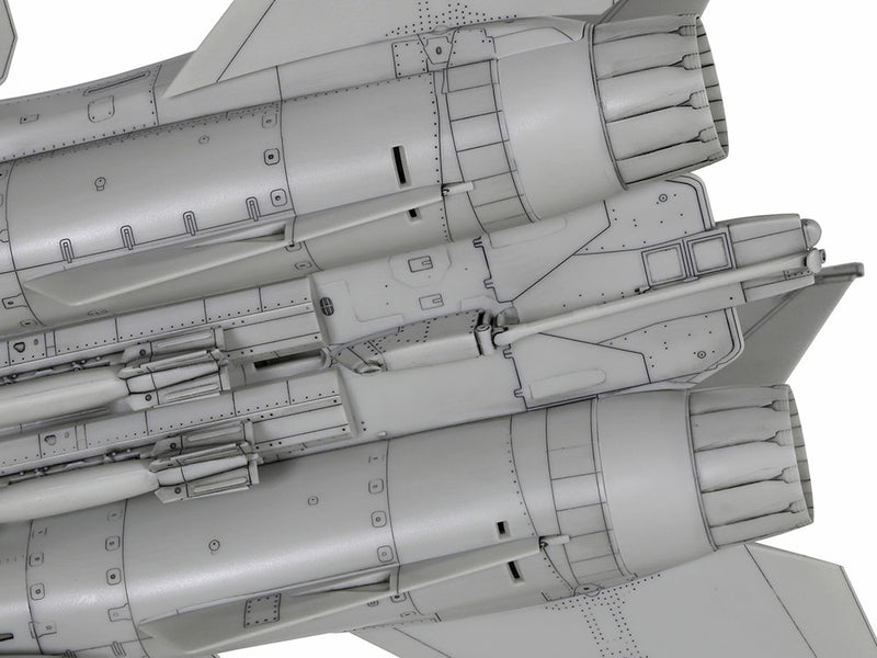 Grumman F-14D Tomcat 1/72