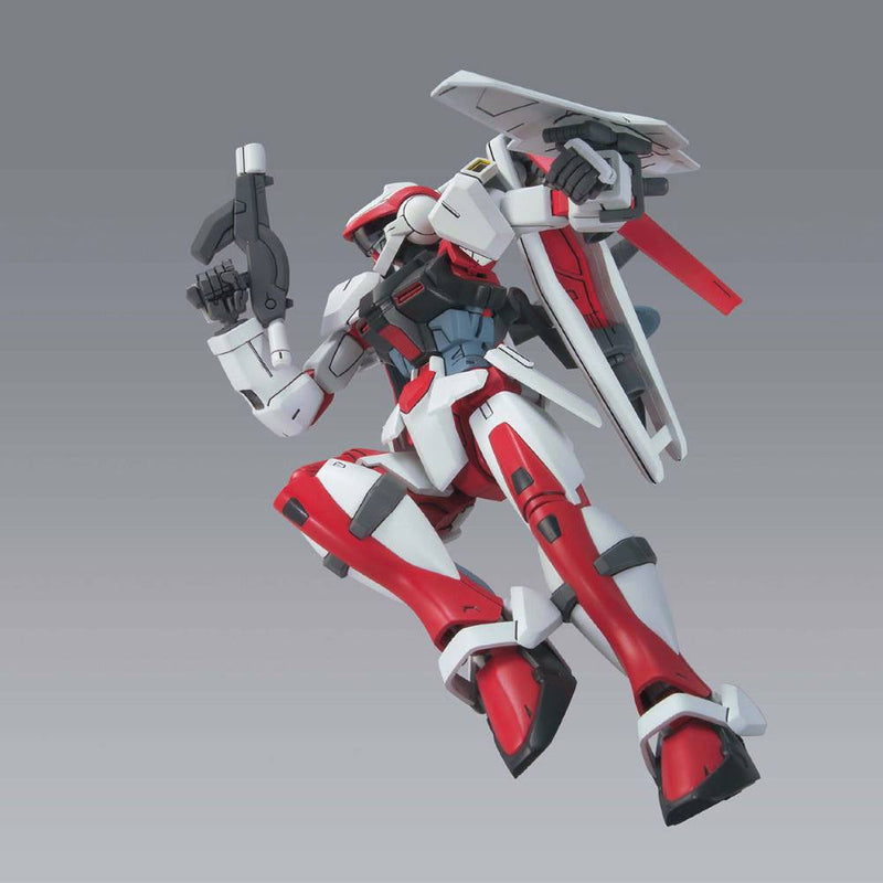 HGCE 049 Civilian Astray DSSD Custom 1/144