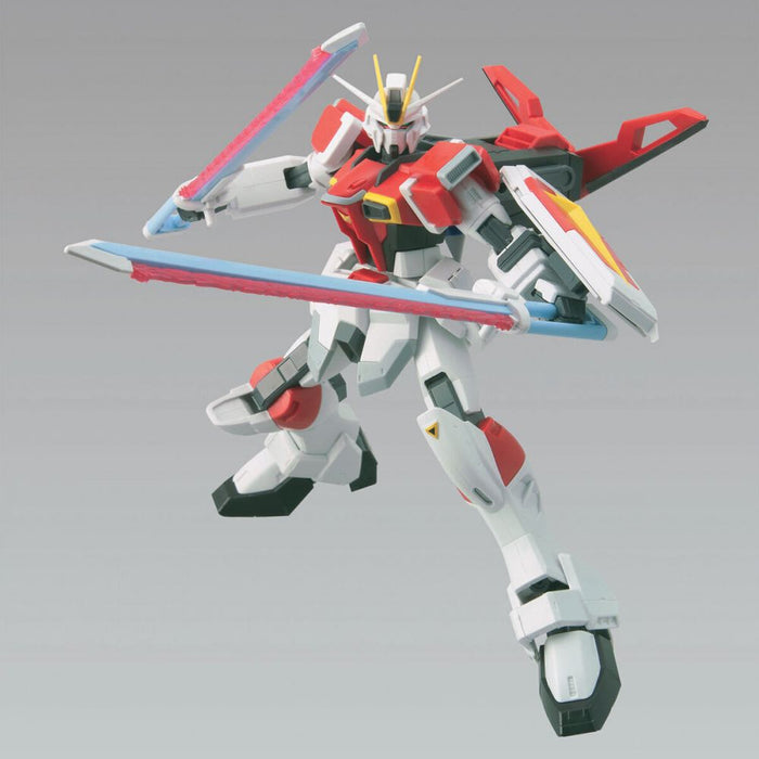 05 Sword Impulse Gundam 1/100