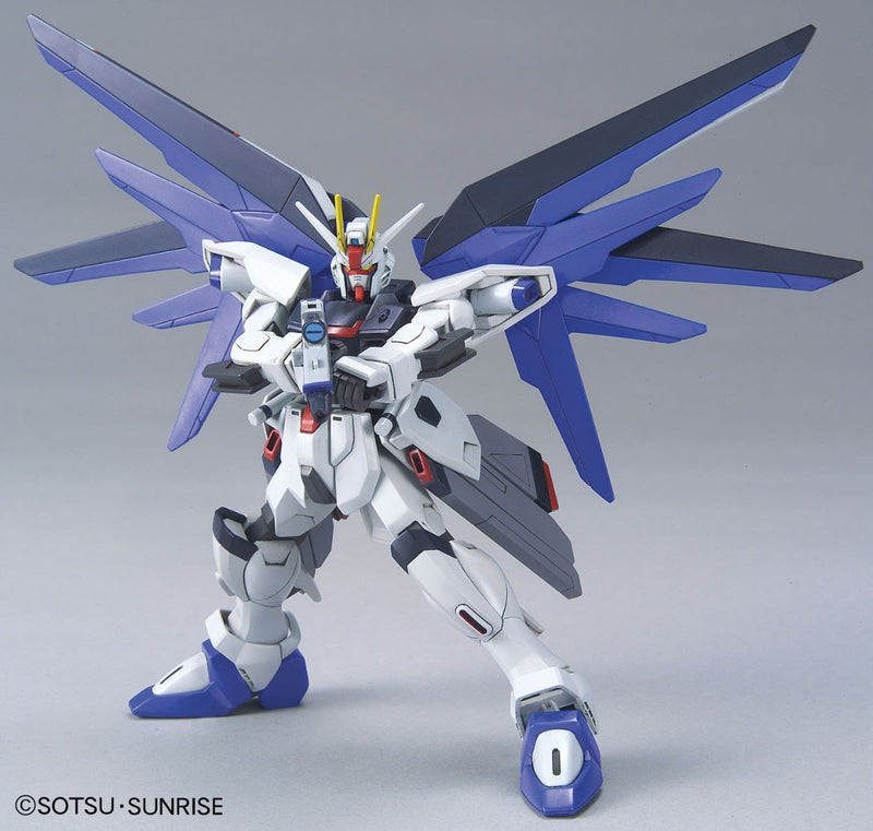 HGCE R15 Freedom Gundam 1/144