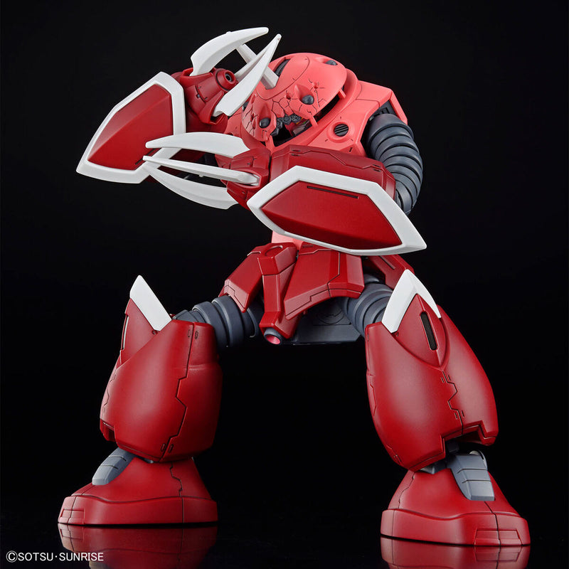 HGCE 260 Z'Gok (Seed Freedom Ver.) 1/144