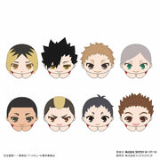 Hug Character Collection - Haikyu!! - Single Random Style