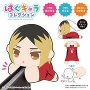 Hug Character Collection - Haikyu!! - Single Random Style