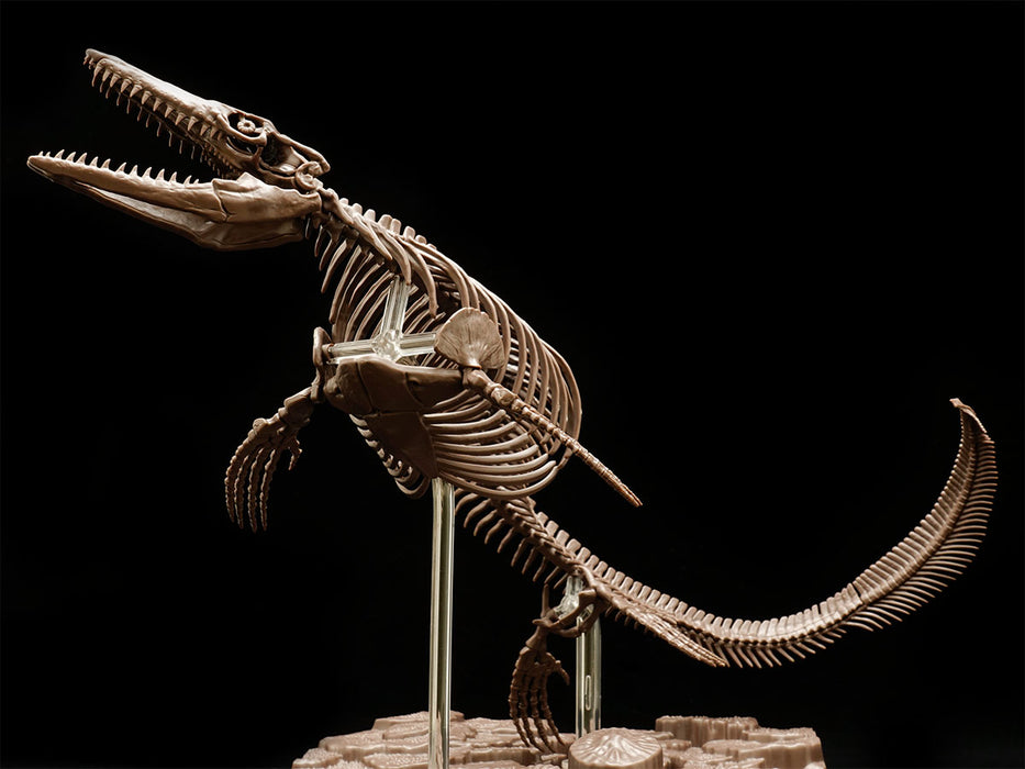 Imaginary Skeleton Mosasaurus 1/32