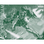 MG Altron Gundam EW 1/100
