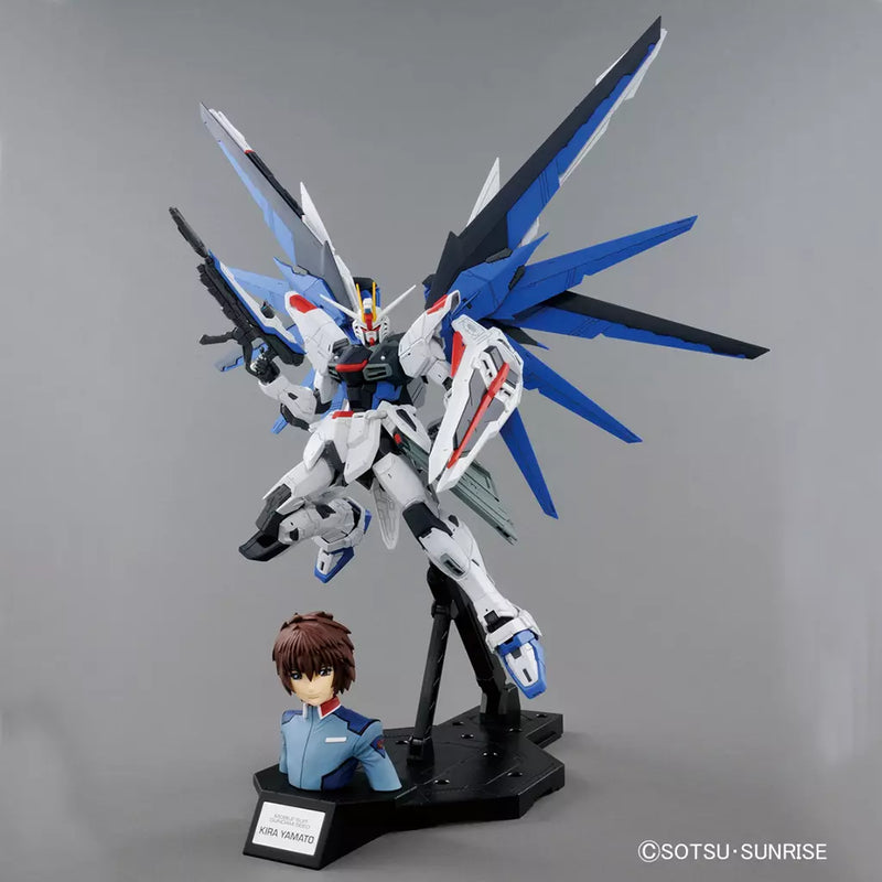 MG Freedom Gundam Ver. 2.0 & Kira Yamato 1/100