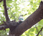 Mega Cat Project - Nyaruto! Come here Sasuke-Kun - Naruto - Single Blind Box