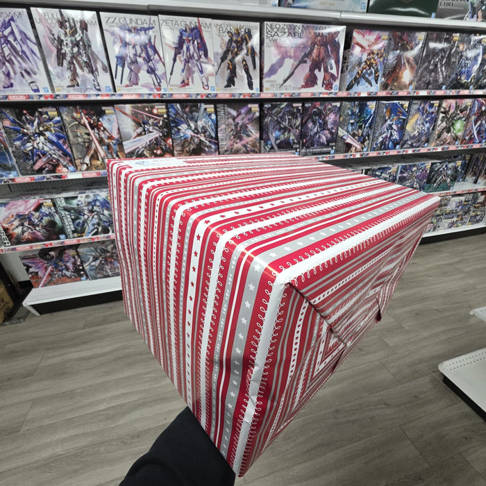 Mystery Gift - Gundam MG & more