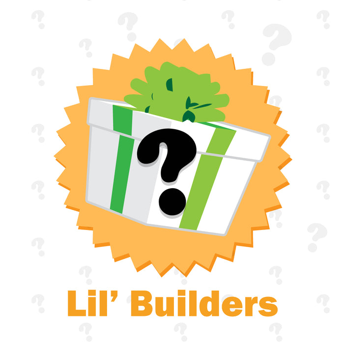 Mystery Gift - Little Builders