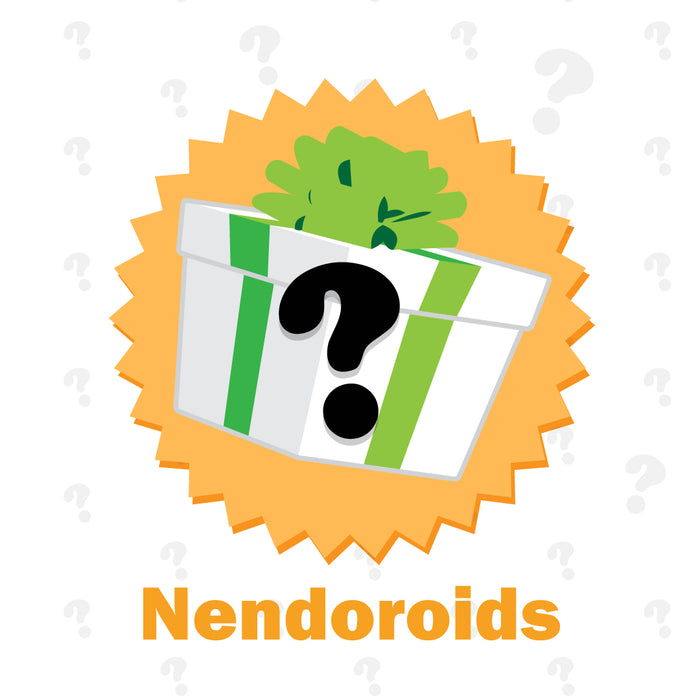 Mystery Gift - Nendoroids