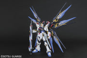 PG Strike Freedom Gundam 1/60