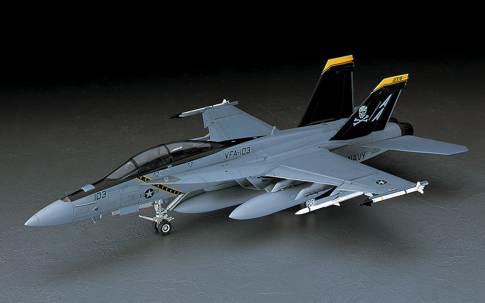 [PT38] F/A-18F Super Hornet 1/48