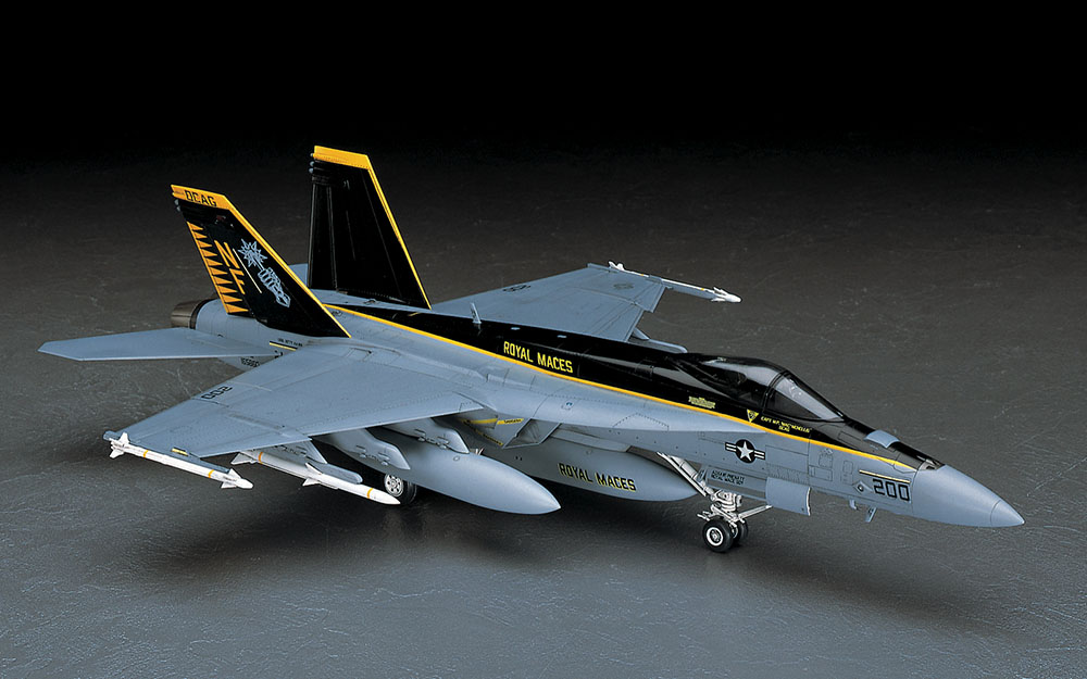 [PT39] F/A-18E Super Hornet 1/48