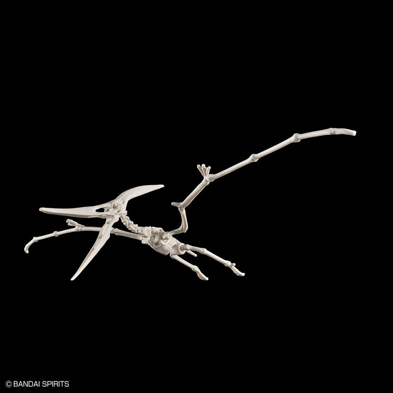 Plannosaurus - Pteranodon