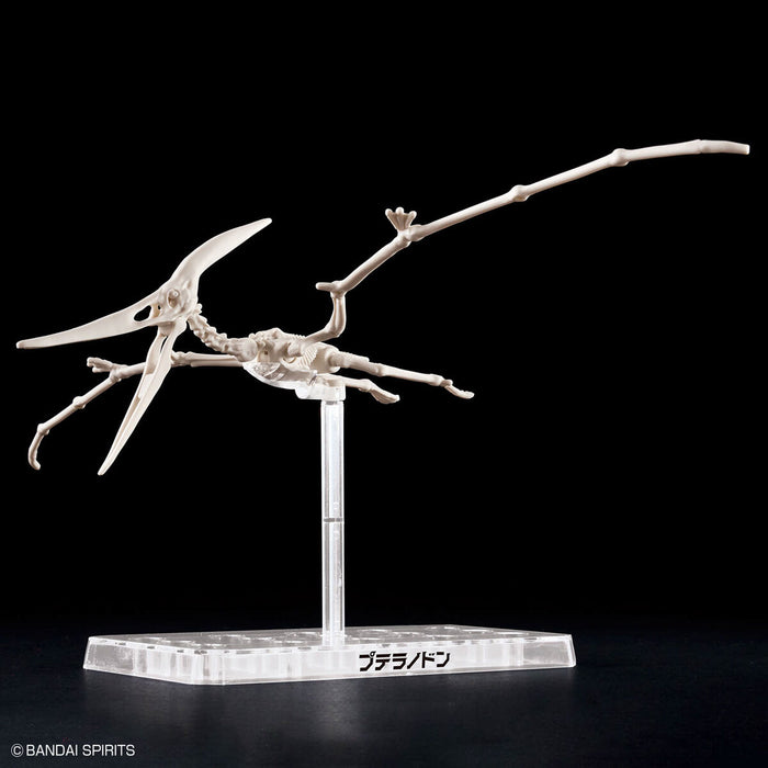 Plannosaurus - Pteranodon