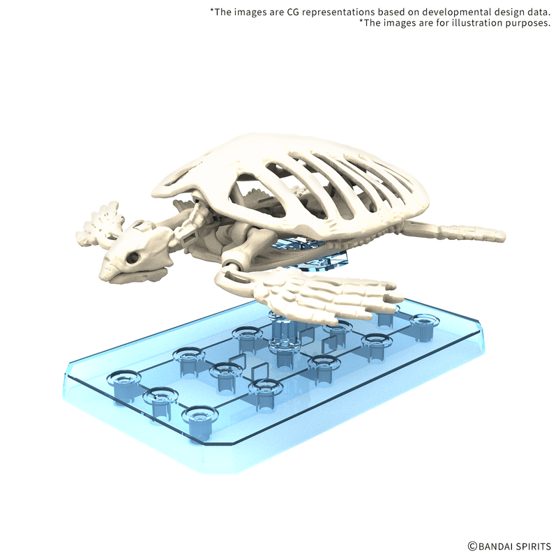 [Preorder][ETA Q1 2027] Plannosaurus Archelon