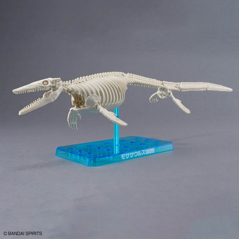 Plannosaurus Mosasaurus 1899