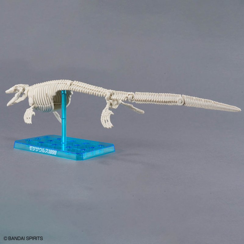 Plannosaurus Mosasaurus 1899