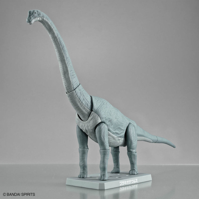 Planosaurus - Brachiosaurus