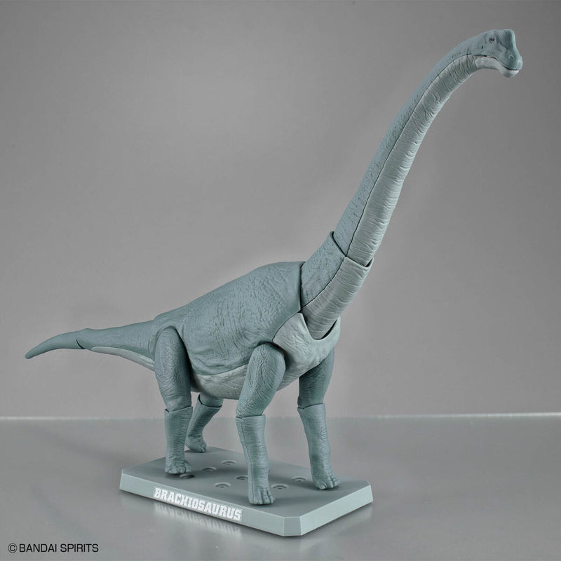 Planosaurus - Brachiosaurus