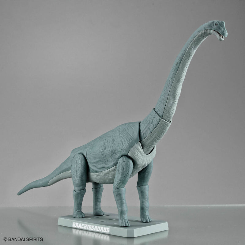 Planosaurus - Brachiosaurus