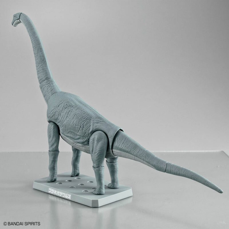 Planosaurus - Brachiosaurus